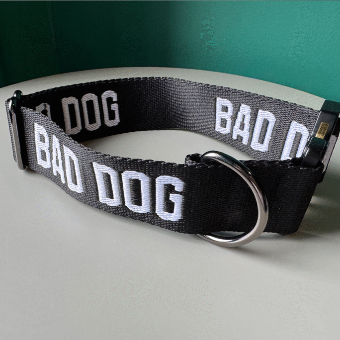BAD DOG - Collar