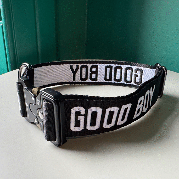 GOOD BOY - Collar
