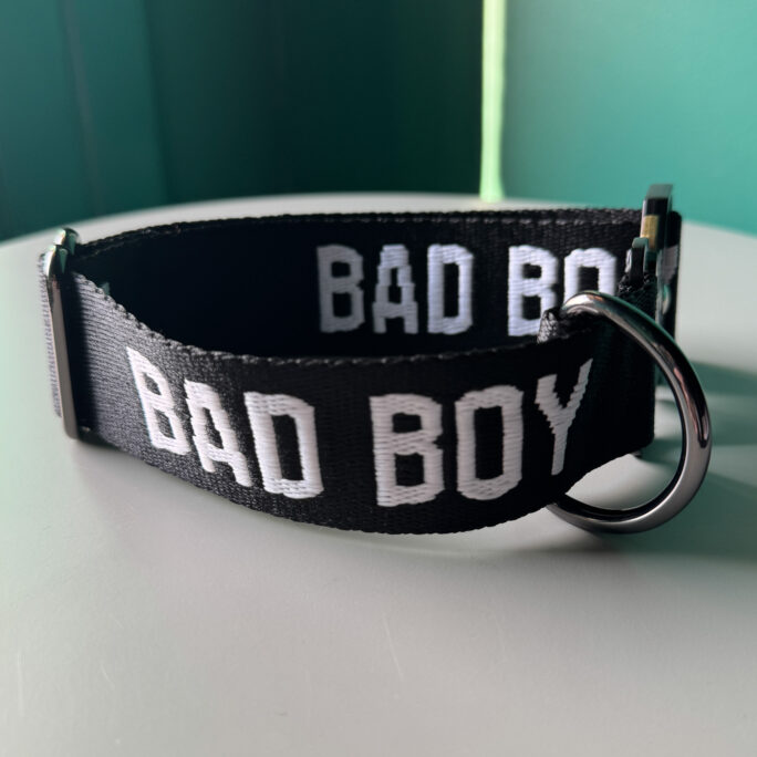 BAD BOY - Collar