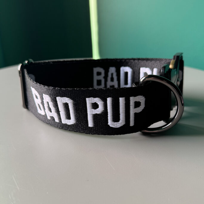 BAD PUP - Collar